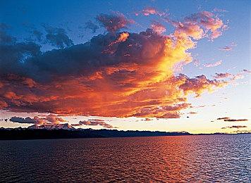 神谷英树：正常人不在乎《刺客信条：影》的争议