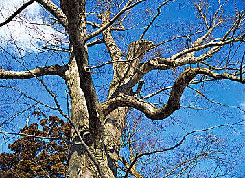 SE表示《最终幻想7：重生》目前没有DLC计划