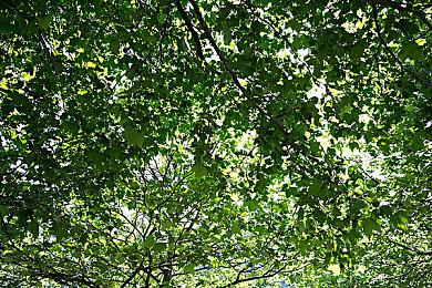 国产恐怖游戏《幸福里403》试玩Demo 将于4月22日推出